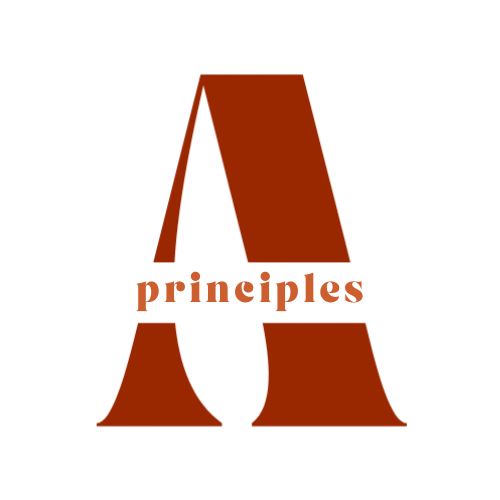 Ameora Principles
